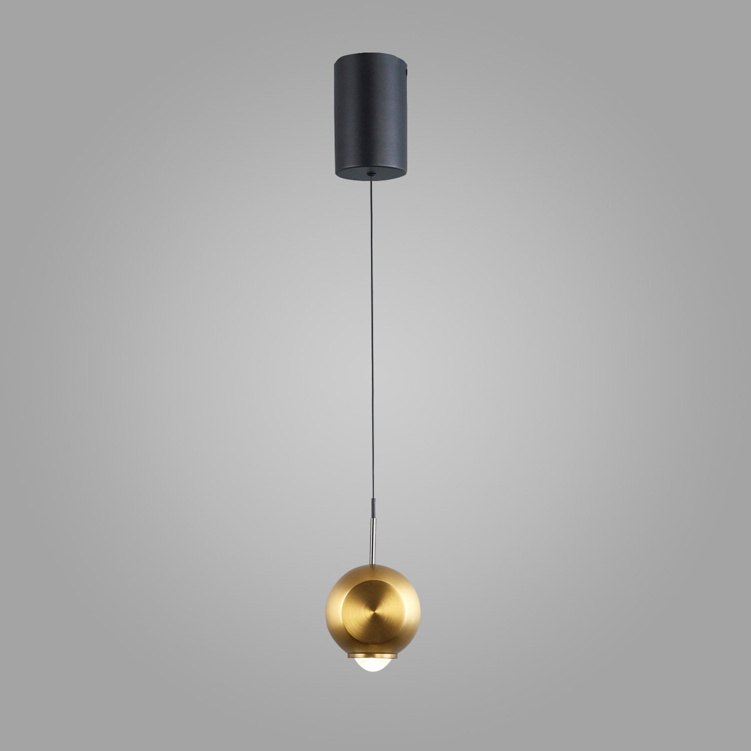 Golden Globe Pendant Light