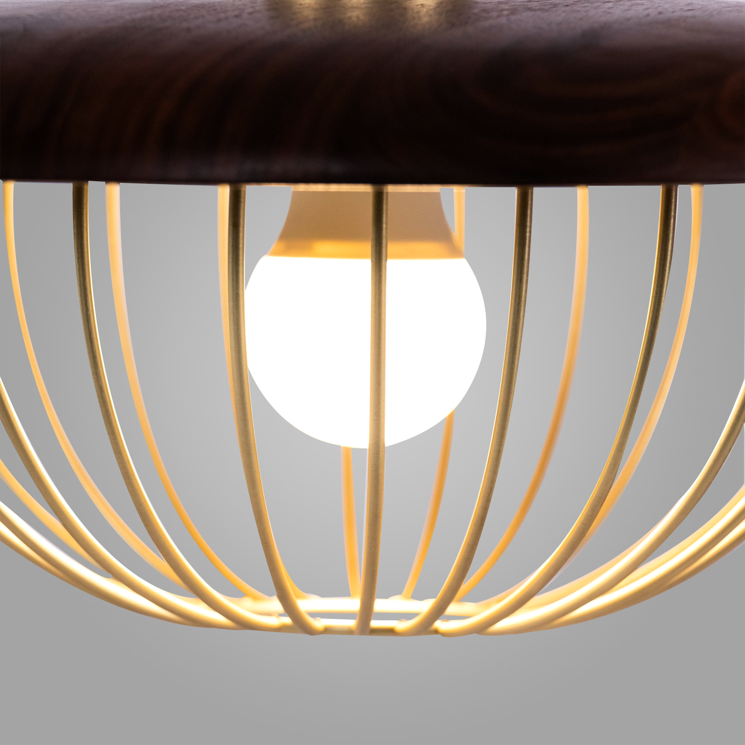 Espresso Halo Pendant Lamp