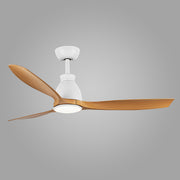 Lumina Harmony Ceiling Fan Light