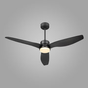 Night Whisper Ceiling Fan Light