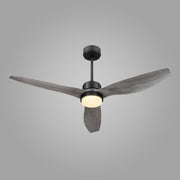 Night Whisper Ceiling Fan Light