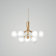 APIALES Chandelier