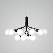 APIALES Chandelier