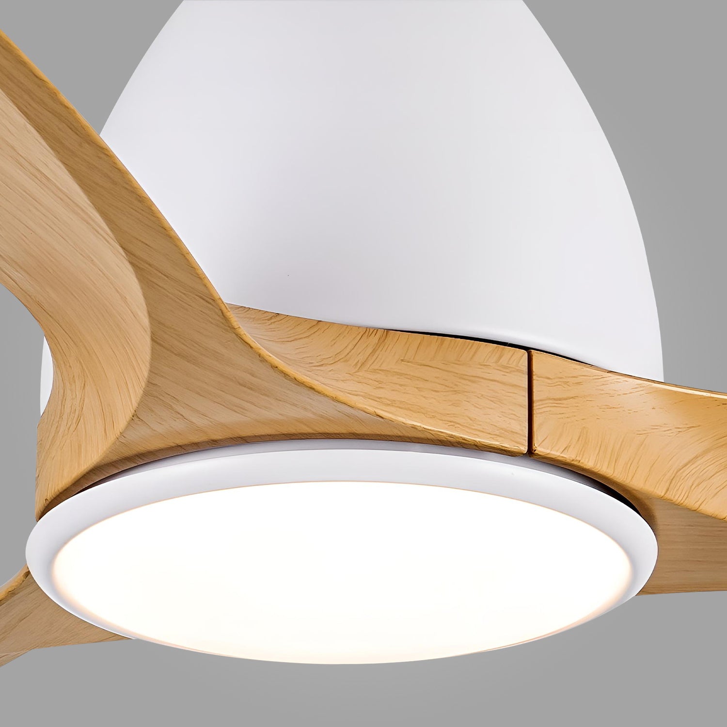 Lumina Harmony Ceiling Fan Light