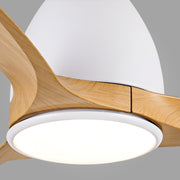 Lumina Harmony Ceiling Fan Light