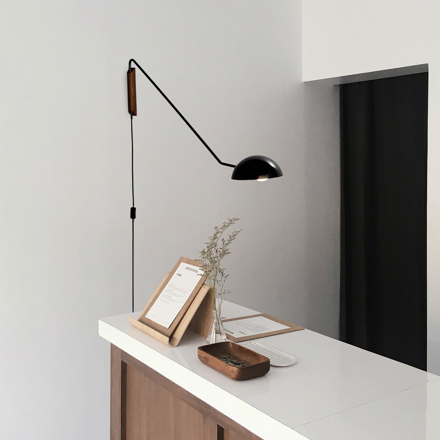 Swing Dome Wall Light_LD002