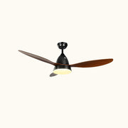 Twilight Glide Ceiling Fan Light