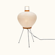 Akari 3AD Floor Lamp