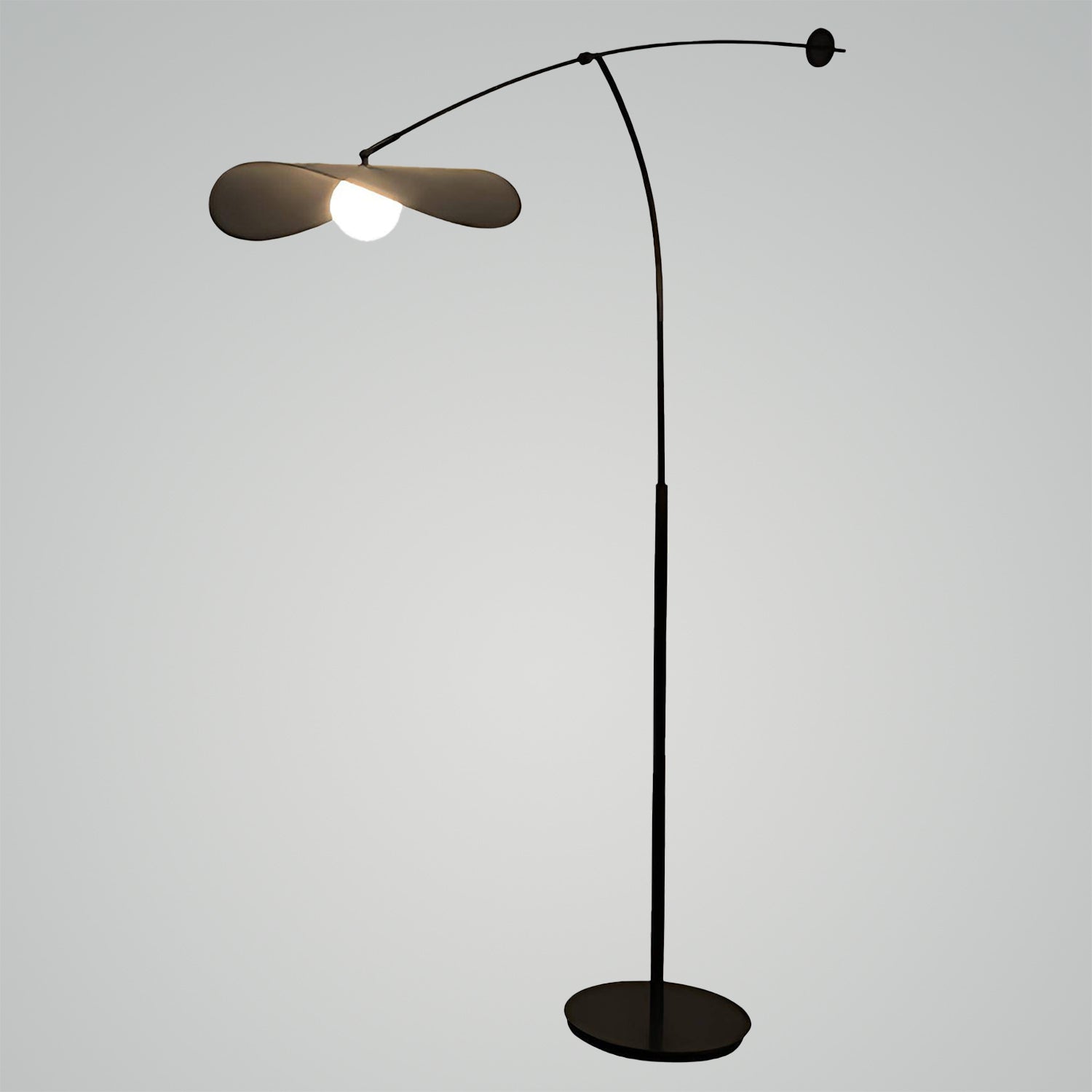 roche-bobois_ALONSO_Floor_Lamp_LD001