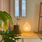 Akari 22N Table Lamp